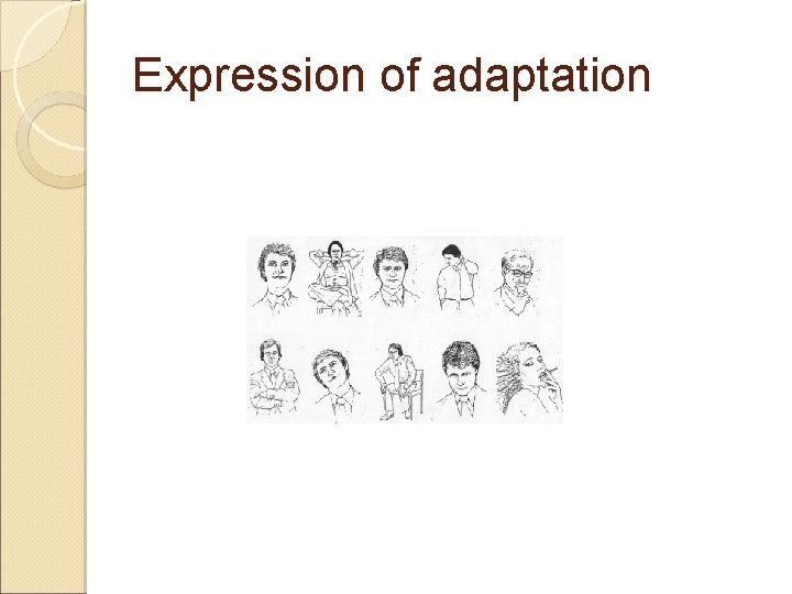 Expression of adaptation Expression of adaptation