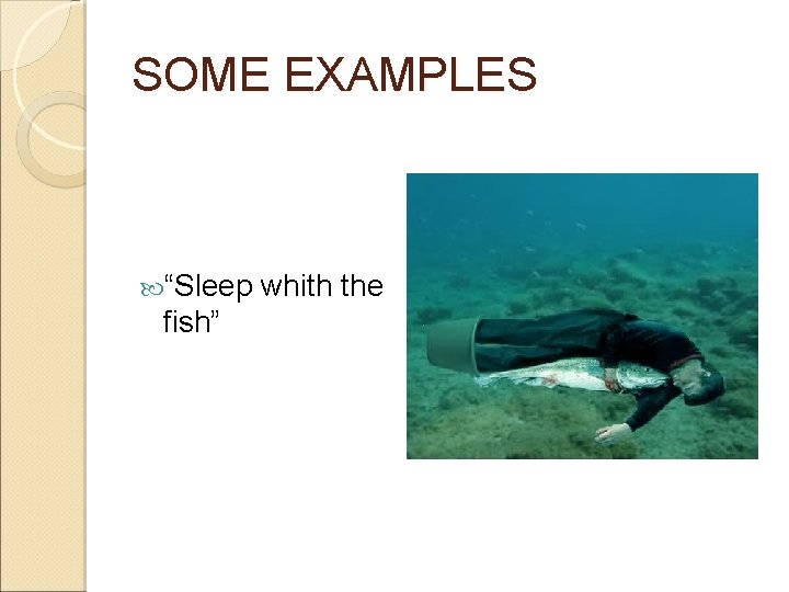 SOME EXAMPLES “Sleep fish” whith the SOME EXAMPLES “Sleep fish” whith the