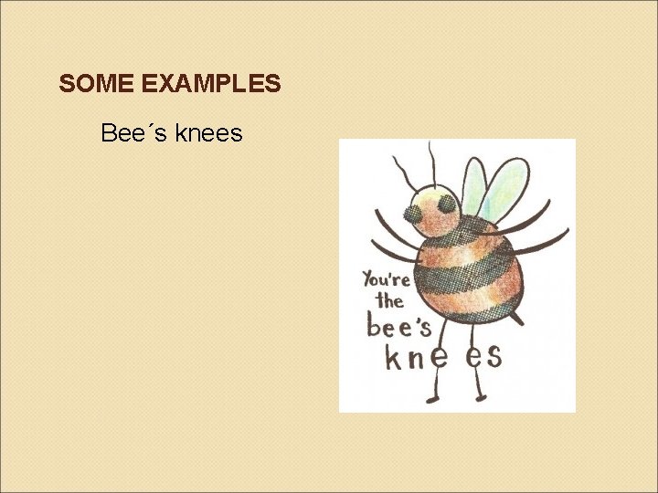 SOME EXAMPLES Bee´s knees SOME EXAMPLES Bee´s knees
