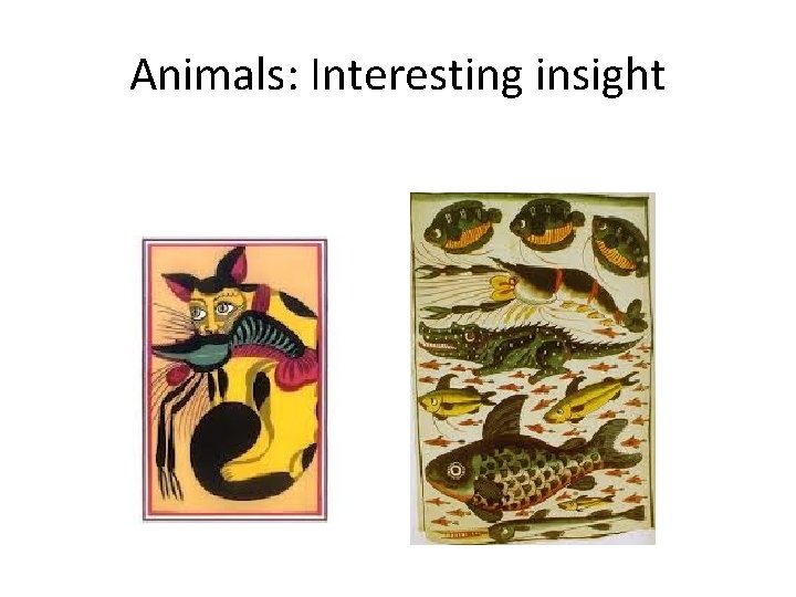 Animals: Interesting insight 
