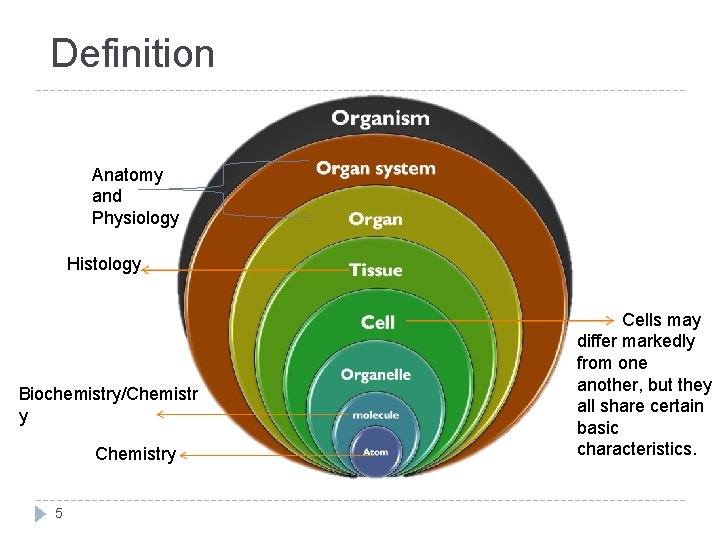 Definition Anatomy and Physiology Histology Biochemistry/Chemistr y Chemistry 5 Cells may differ markedly from