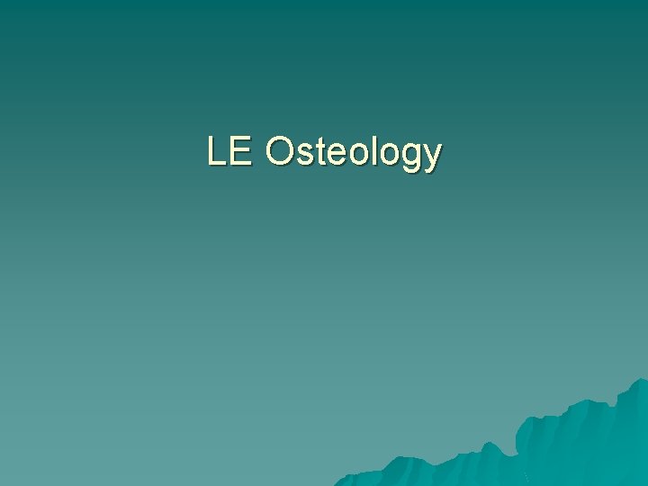 LE Osteology 