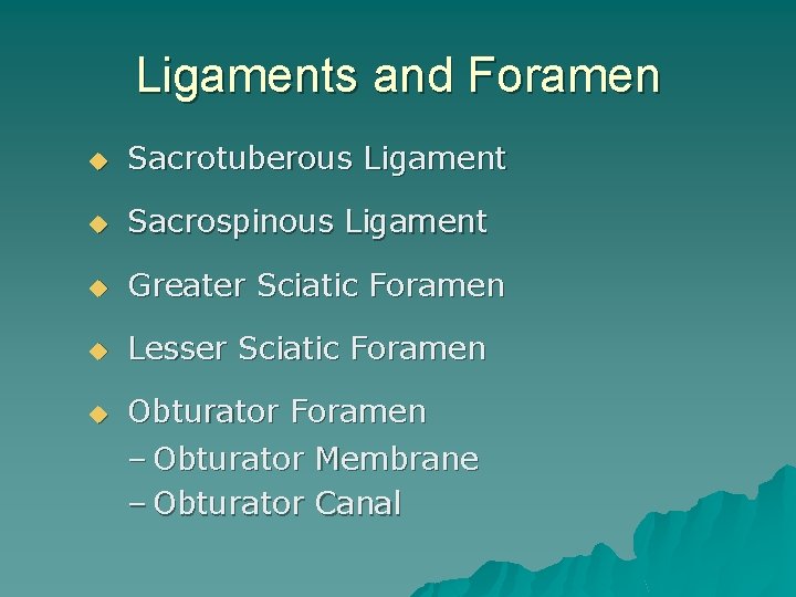 Ligaments and Foramen u Sacrotuberous Ligament u Sacrospinous Ligament u Greater Sciatic Foramen u