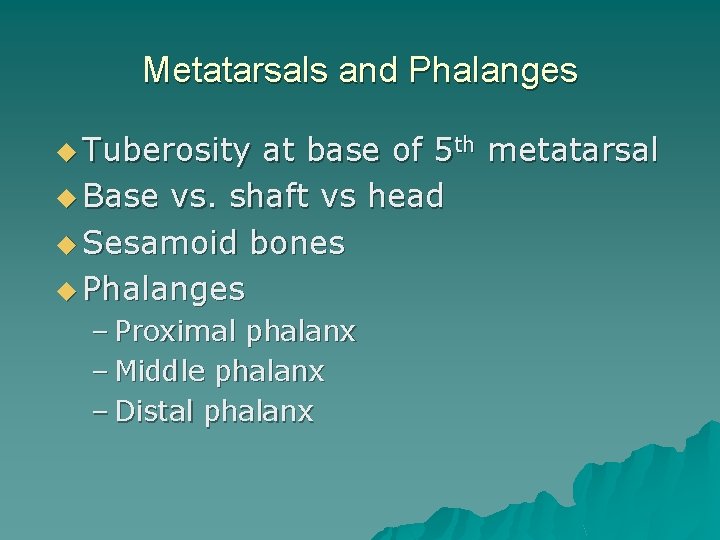 Metatarsals and Phalanges u Tuberosity at base of 5 th metatarsal u Base vs.