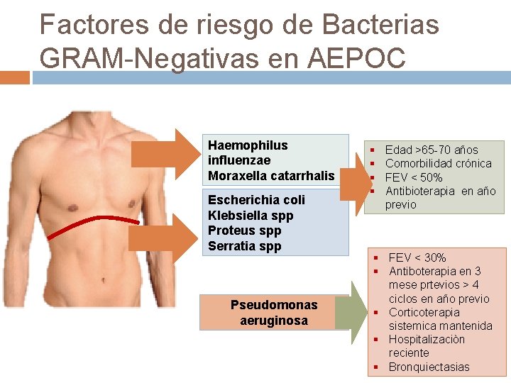 Factores de riesgo de Bacterias GRAM-Negativas en AEPOC Haemophilus influenzae Moraxella catarrhalis Escherichia coli