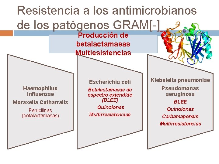 Resistencia a los antimicrobianos de los patógenos GRAM[-] Producción de betalactamasas Multiesistencias Haemophilus influenzae