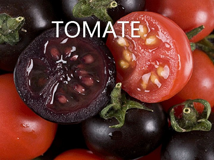 TOMATE 