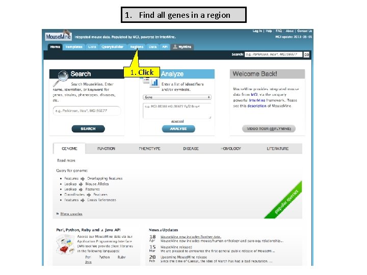 1. Find all genes in a region 1. Click 