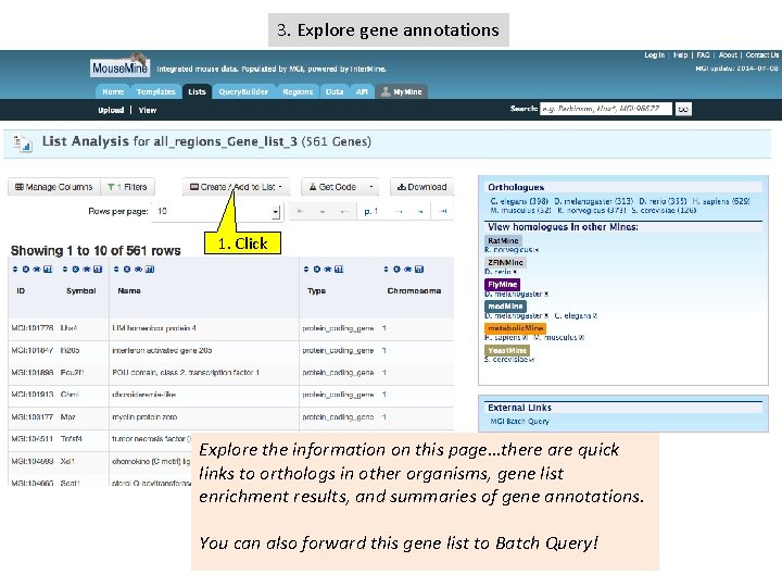 3. Explore gene annotations 1. Click Explore the information on this page…there are quick