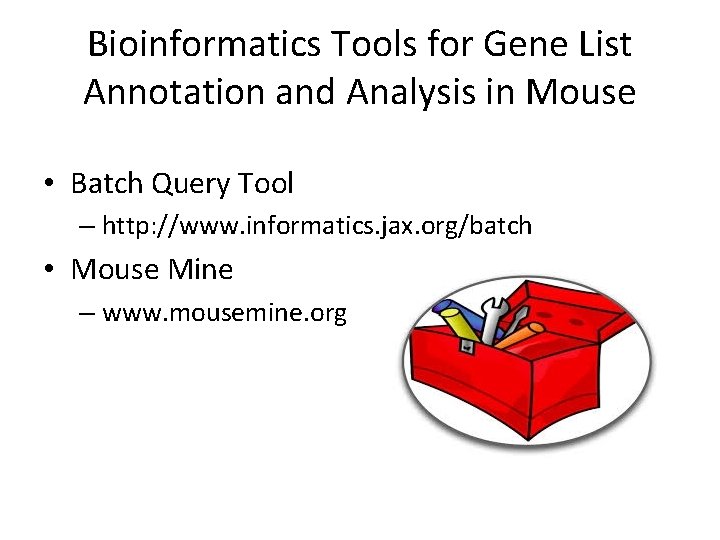 Bioinformatics Tools for Gene List Annotation and Analysis in Mouse • Batch Query Tool