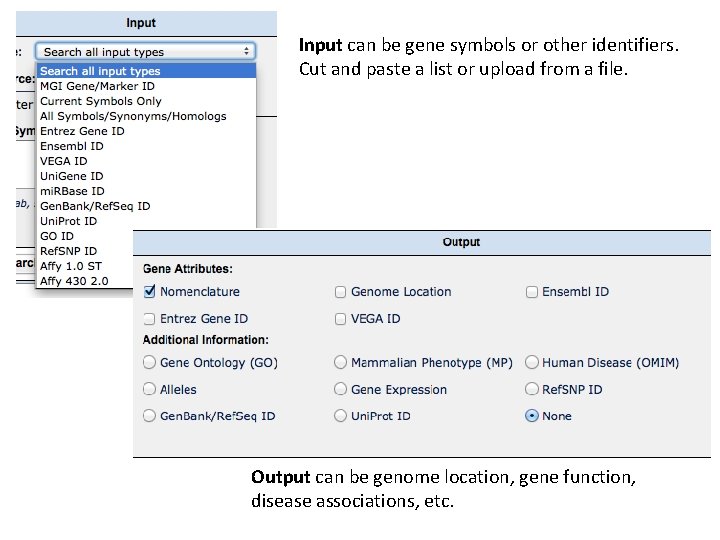 Input can be gene symbols or other identifiers. Cut and paste a list or