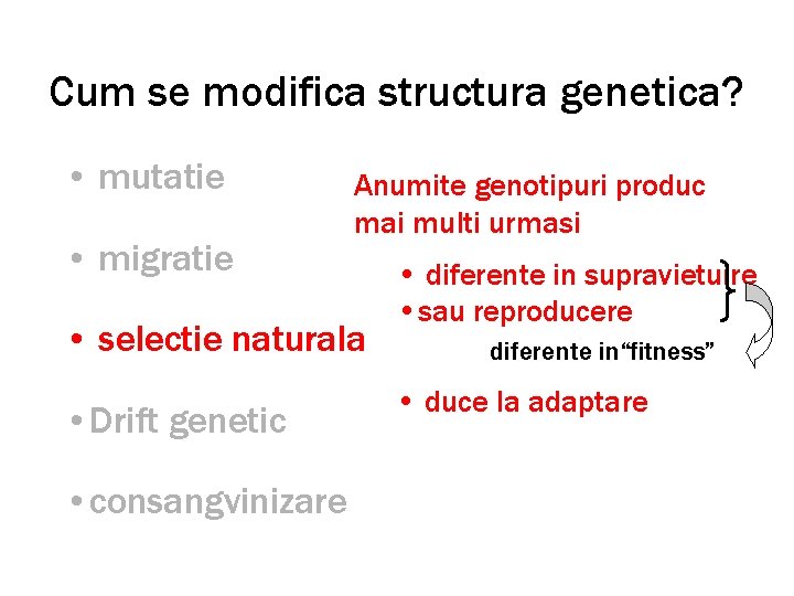 Cum se modifica structura genetica? • mutatie • migratie Anumite genotipuri produc mai multi