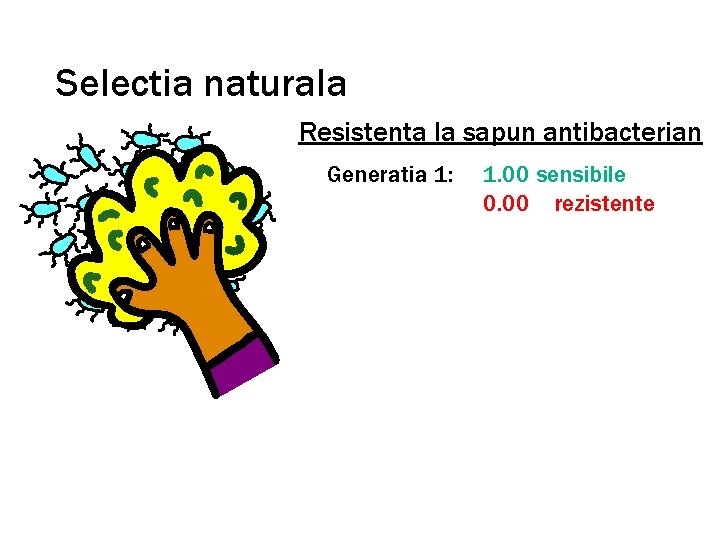 Selectia naturala Resistenta la sapun antibacterian Generatia 1: 1. 00 sensibile 0. 00 rezistente