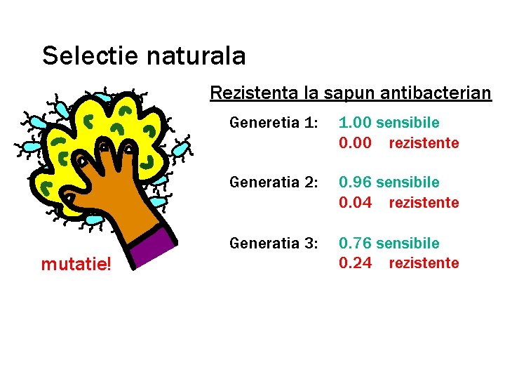 Selectie naturala Rezistenta la sapun antibacterian mutatie! Generetia 1: 1. 00 sensibile 0. 00