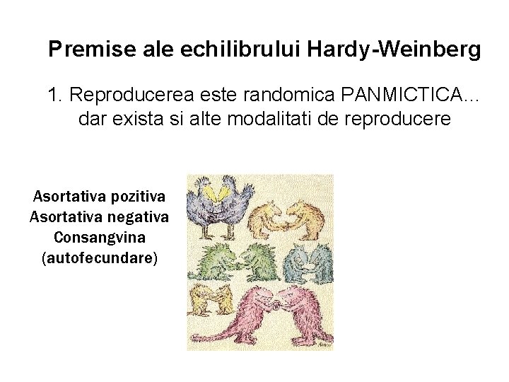 Premise ale echilibrului Hardy-Weinberg 1. Reproducerea este randomica PANMICTICA… dar exista si alte modalitati