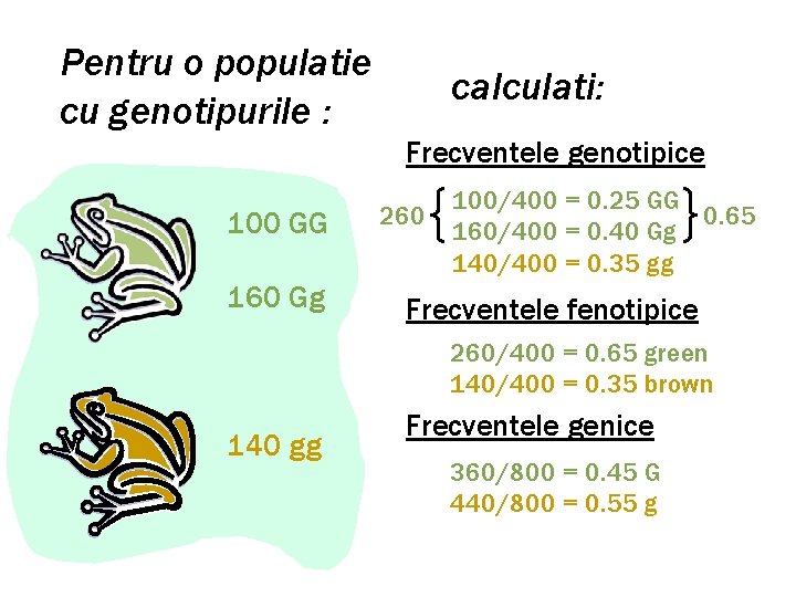 Pentru o populatie cu genotipurile : calculati: Frecventele genotipice 100 GG 160 Gg 260