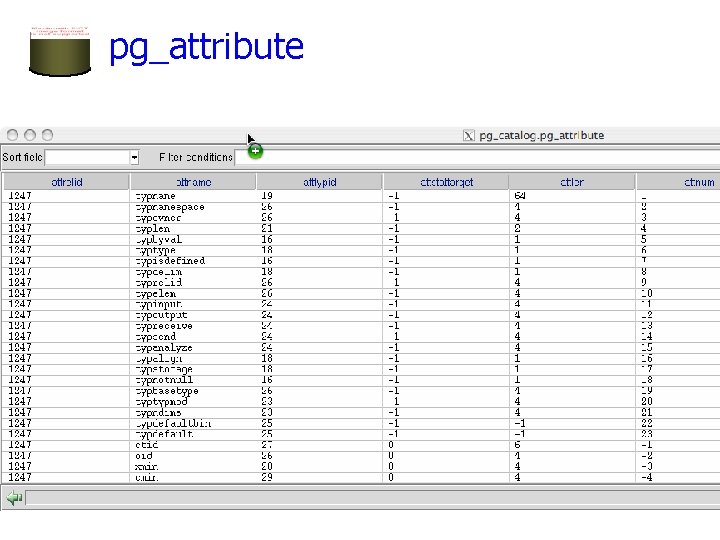 pg_attribute pg_attribute