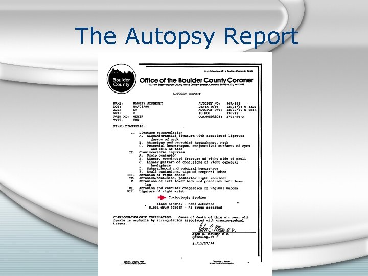 The Autopsy Report 