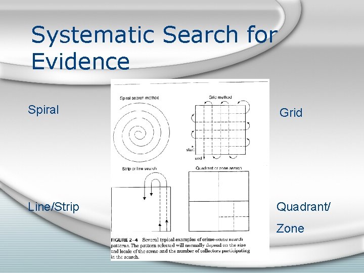 Systematic Search for Evidence Spiral Grid Line/Strip Quadrant/ Zone 