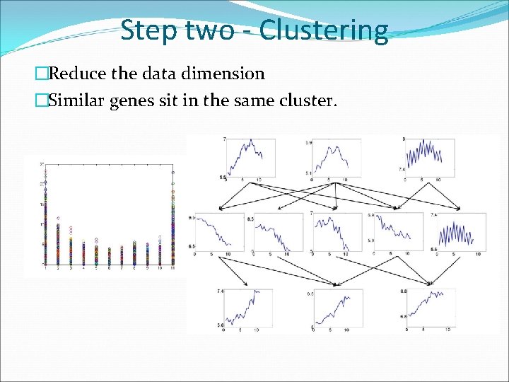 Statistical Techniques for Temporal Microarray Data Analysis Ritesh