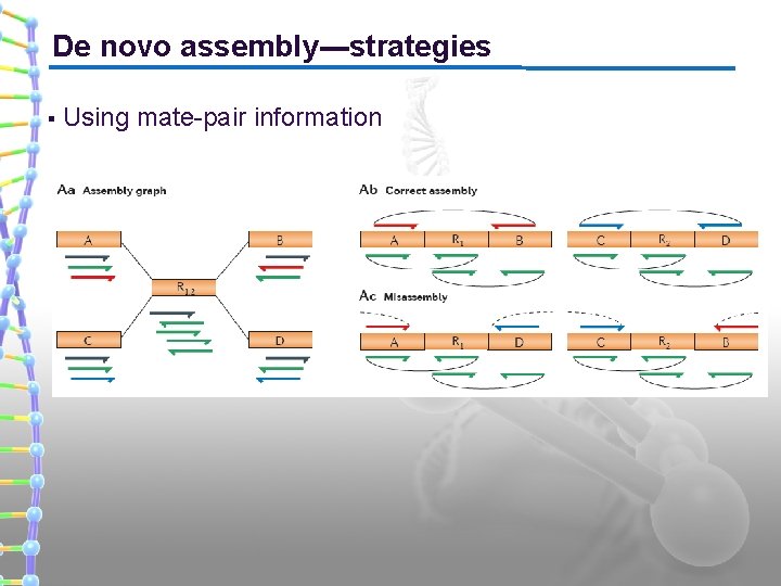 De novo assembly---strategies § Using mate-pair information 