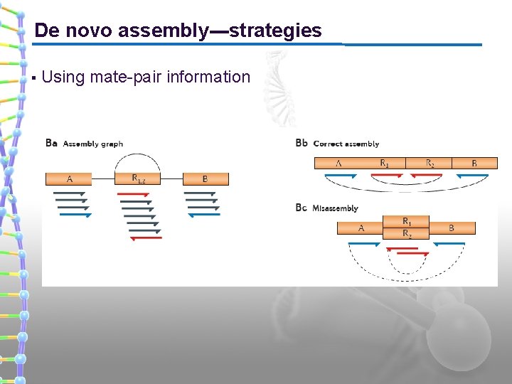 De novo assembly---strategies § Using mate-pair information 