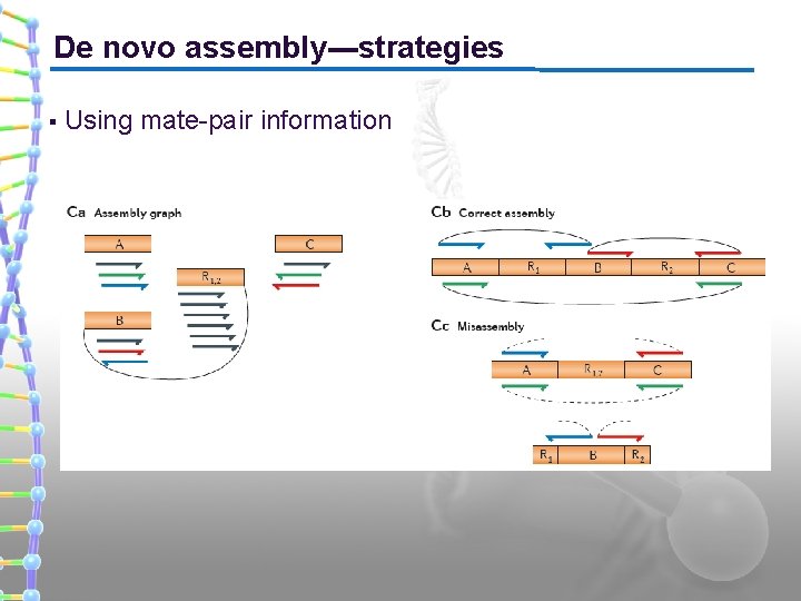De novo assembly---strategies § Using mate-pair information 