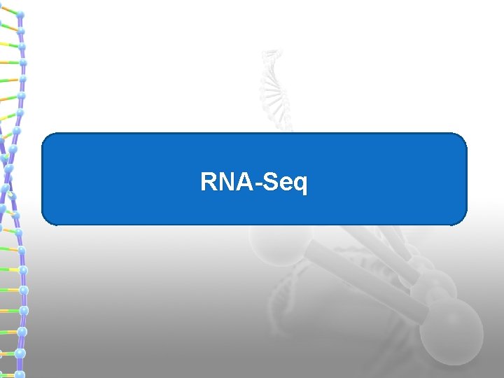 RNA-Seq 