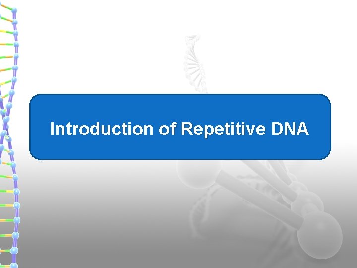 Introduction of Repetitive DNA 