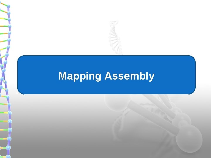 Mapping Assembly 