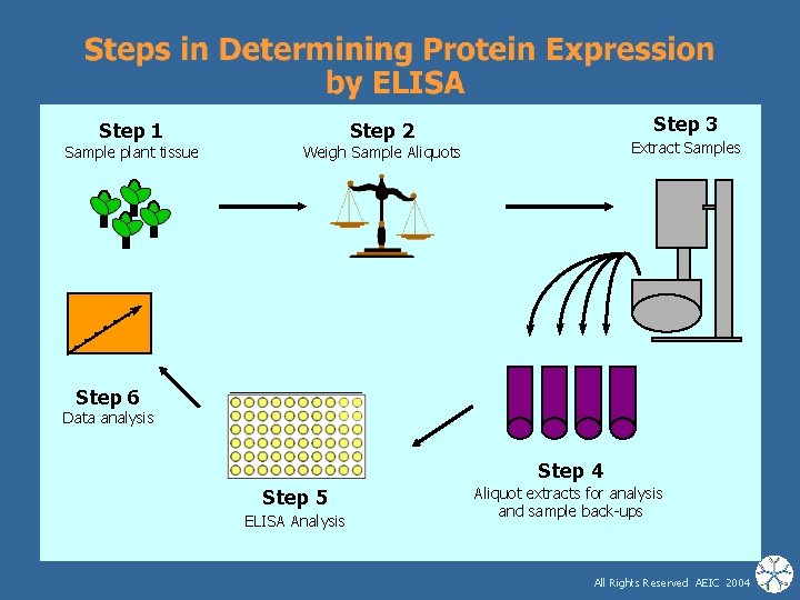 Step 1 Step 2 Sample plant tissue Weigh Sample Aliquots Step 3 Extract Samples