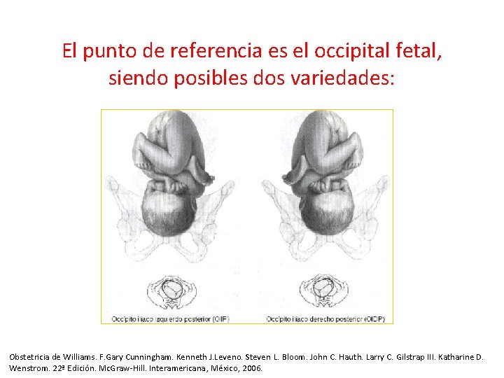 El punto de referencia es el occipital fetal, siendo posibles dos variedades: Obstetricia de El punto de referencia es el occipital fetal, siendo posibles dos variedades: Obstetricia de