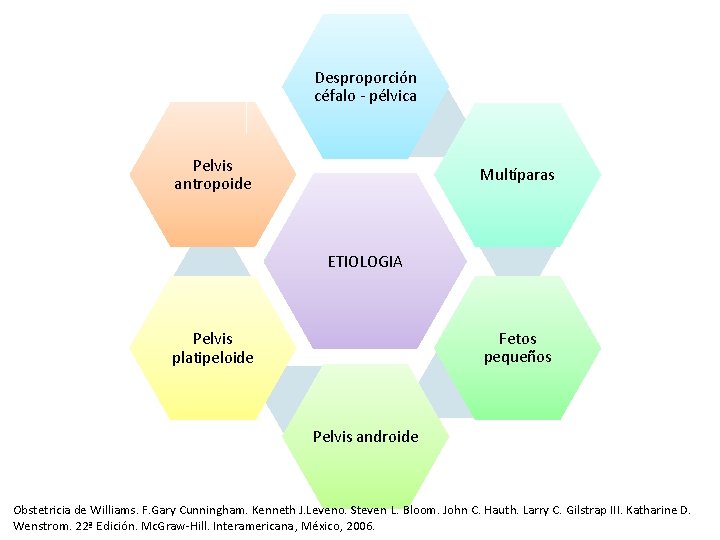 Desproporción céfalo - pélvica Pelvis antropoide Multíparas ETIOLOGIA Fetos pequeños Pelvis platipeloide Pelvis androide Desproporción céfalo - pélvica Pelvis antropoide Multíparas ETIOLOGIA Fetos pequeños Pelvis platipeloide Pelvis androide