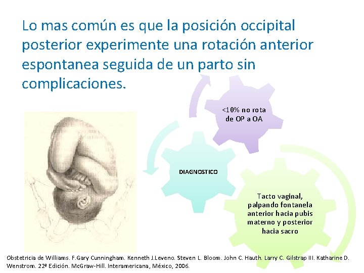 Lo mas común es que la posición occipital posterior experimente una rotación anterior espontanea Lo mas común es que la posición occipital posterior experimente una rotación anterior espontanea