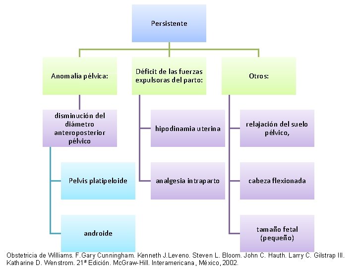 Persistente Anomalía pélvica: disminución del diámetro anteroposterior pélvico Pelvis platipeloide androide Déficit de las Persistente Anomalía pélvica: disminución del diámetro anteroposterior pélvico Pelvis platipeloide androide Déficit de las