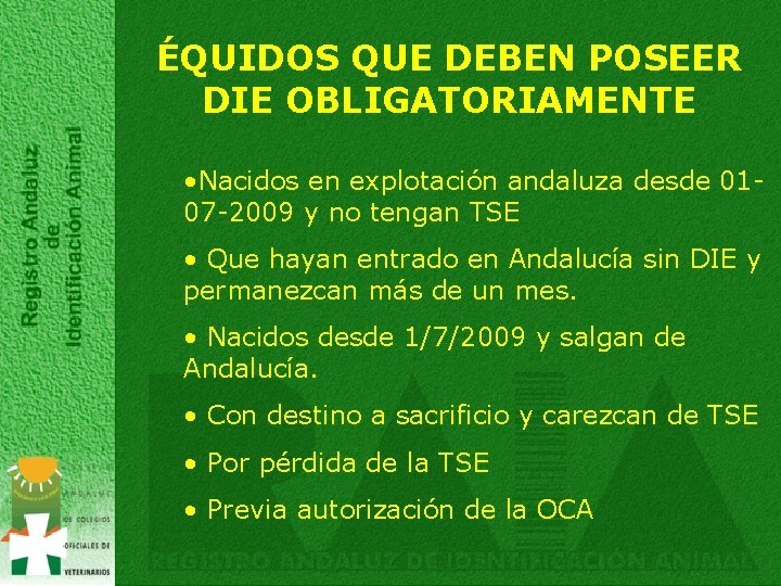 ÉQUIDOS QUE DEBEN POSEER DIE OBLIGATORIAMENTE • Nacidos en explotación andaluza desde 0107 -2009