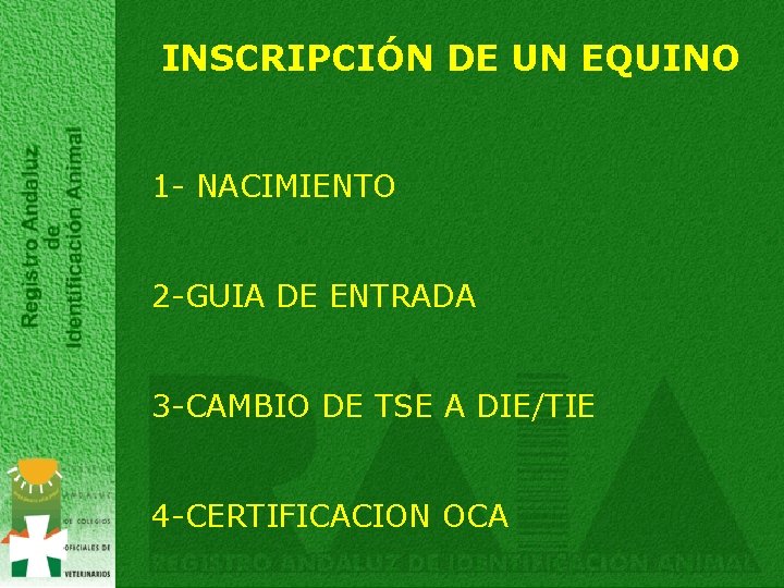 INSCRIPCIÓN DE UN EQUINO 1 - NACIMIENTO 2 -GUIA DE ENTRADA 3 -CAMBIO DE