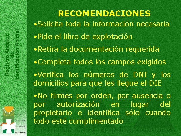 RECOMENDACIONES • Solicita toda la información necesaria • Pide el libro de explotación •