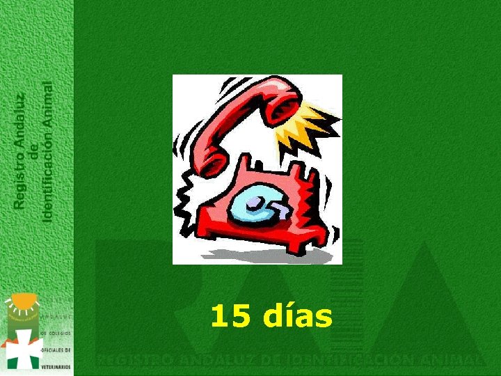 15 días 