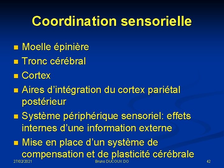 Coordination sensorielle Moelle épinière n Tronc cérébral n Cortex n Aires d’intégration du cortex