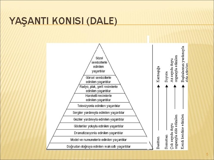 YAŞANTI KONISI (DALE) 5 