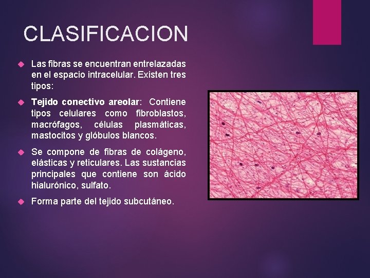 CLASIFICACION Las fibras se encuentran entrelazadas en el espacio intracelular. Existen tres tipos: Tejido