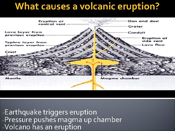 What causes a volcanic eruption? -Earthquake triggers eruption -Pressure pushes magma up chamber -Volcano