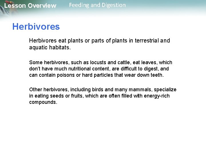 Lesson Overview Feeding and Digestion Herbivores eat plants or parts of plants in terrestrial