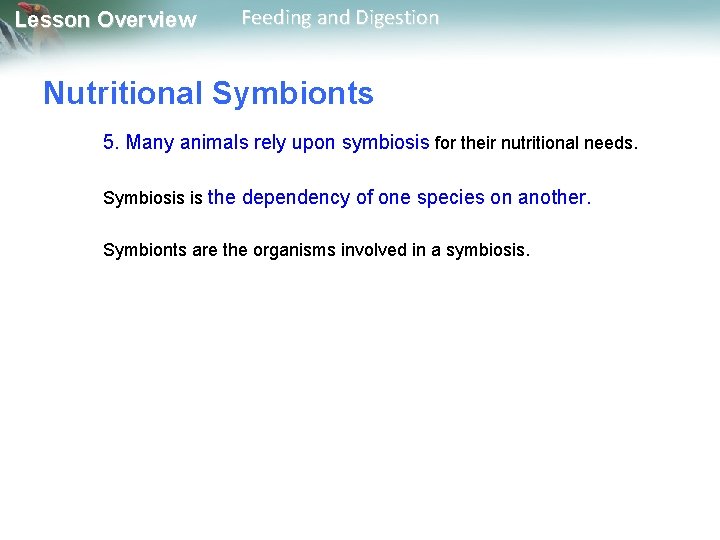 Lesson Overview Feeding and Digestion Nutritional Symbionts 5. Many animals rely upon symbiosis for