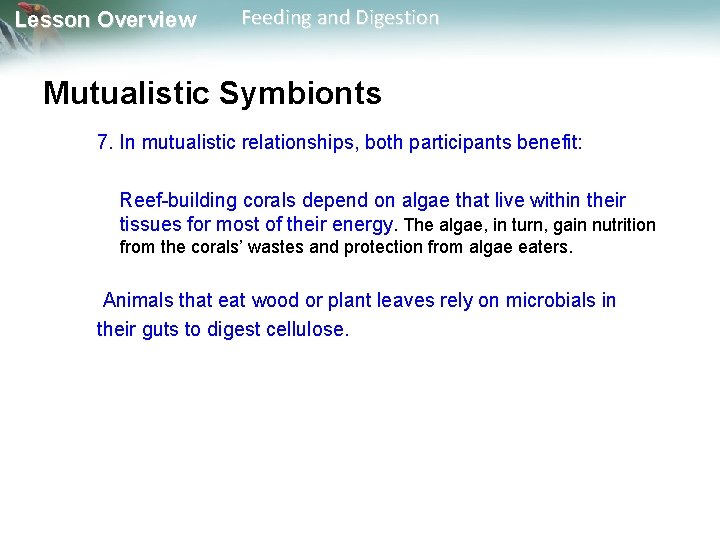 Lesson Overview Feeding and Digestion Mutualistic Symbionts 7. In mutualistic relationships, both participants benefit: