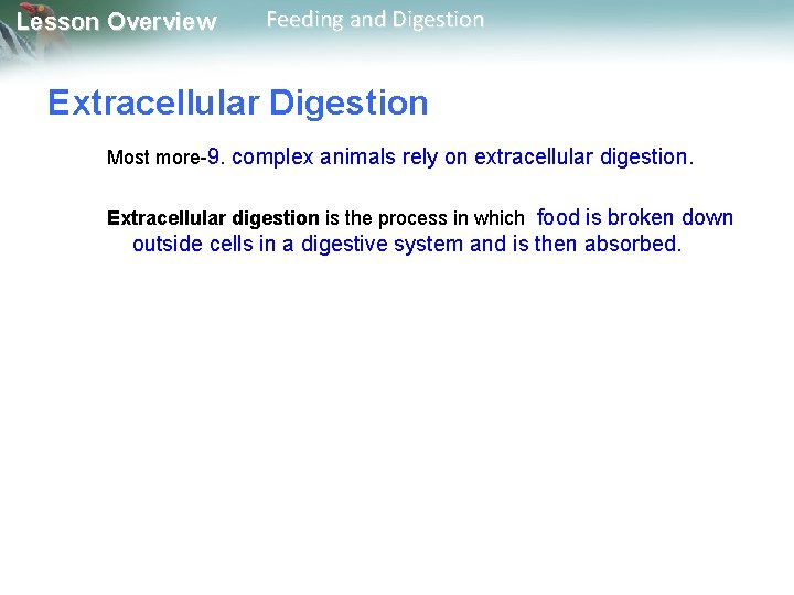 Lesson Overview Feeding and Digestion Extracellular Digestion Most more-9. complex animals rely on extracellular