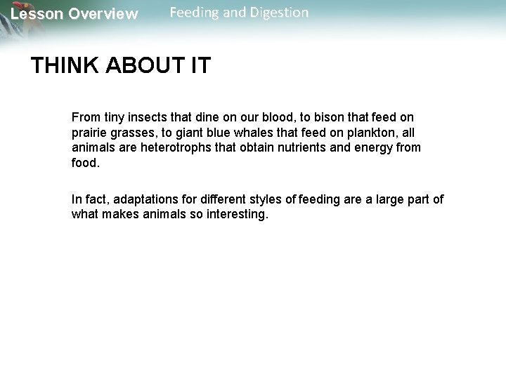 Lesson Overview Feeding and Digestion THINK ABOUT IT From tiny insects that dine on