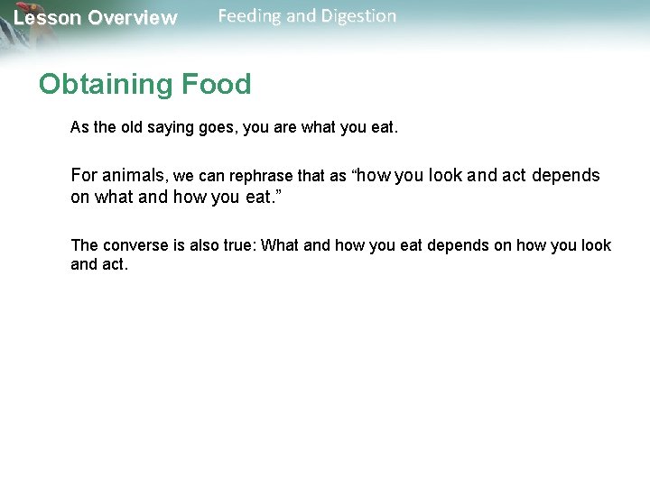 Lesson Overview Feeding and Digestion Obtaining Food As the old saying goes, you are