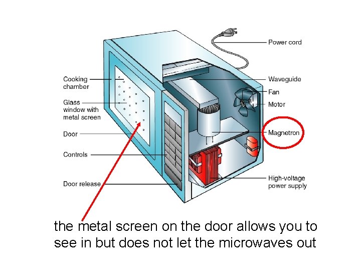 the metal screen on the door allows you to see in but does not